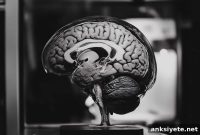 New Cellular Targets Could Transform Glioblastoma Treatment