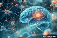 How the Brain Links Old and New Memories to Support Learning