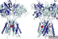 Low-Dose Ketamine Delivers Rapid Relief for Depression