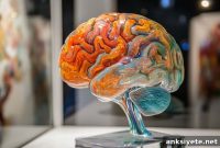 Immune Gene Tied to ADHD, Autism and Hyperactivity in New Study