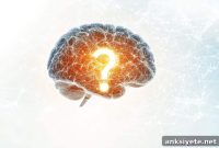 How Low Confidence Prompts Feedback and Improves Learning