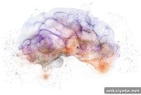 New Study Identifies Distinct Brain Network in Schizophrenia