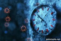 How the Circadian Clock Drives Inflammation and Disease