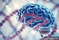 Dyslexia Genes Alter Motor, Visual, and Language Brain Circuits