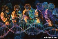 Genetic Disease Variability: What New Research Reveals