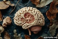 Push-Pull Signals Direct Neuron Migration in Developing Brain