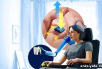 How Brain Stimulation Restores Touch in Prosthetics