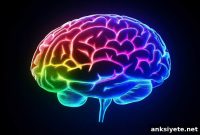 Study: Cerebellar Serotonin Acts as a Brake on Anxiety