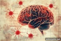 Study Finds Brain Microbleeds Could Double Dementia Risk