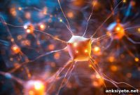 AI Chip Maps the Brain’s Neural Networks