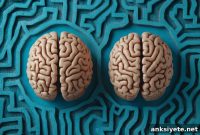New Brain Circuit Study Reveals How Empathy Shapes Our Behavior