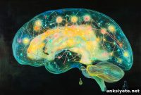 New Brain Map Reveals How Learning Rewires Synapses