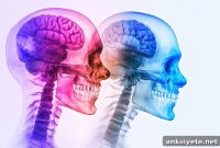 Oral Health Linked to Migraines and Fibromyalgia in Women