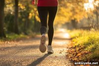 Does Exercise Reduce Brain Myelin? How It Fully Recovers
