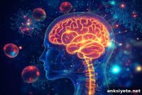 Gut Imbalances in Autism Alter Brain Function and Behavior