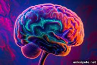Microplastics in Arteries Linked to Stroke Symptoms