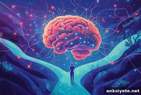 Serotonin Neurons Rewrite How the Brain Works