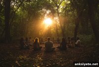 How Set and Setting Shape Ayahuasca’s Mental Health Effects