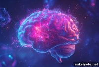 Study Shows Psychedelics Rewire Brain-Immune Circuits