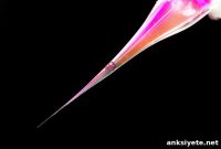 Micropipette Precisely Controls Brain Ion Signals Noninvasively