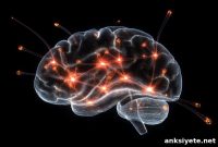 How Learning Rewires Your Brain: Neuroplasticity Explained