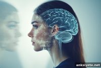 How Surprise Triggers Prediction Errors in the Brain