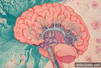 New Study: Increased Oxygen Promotes Early Infant Brain Growth