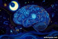 How OCD, Tics, and ADHD Cause Sleepless Nights
