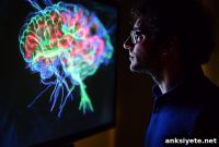 How Two Brain Learning Systems Drive Habit Formation