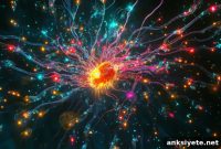 How Astrocytes Shape Brain Function and Behavior