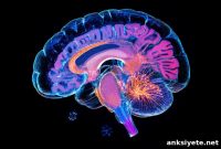 Spinal Fluid Markers May Reveal Early Frontotemporal Dementia