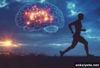 Light Exercise Boosts Memory via Dopamine and Norepinephrine
