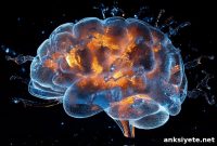 How the Brain Integrates Sight and Sound into Memory