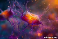 New Brain Switch Controls Synapses and Reveals Autism Link