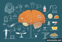 How Brainstem Neurons Drive Semaglutide Weight Loss