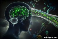 Nitrous Oxide Opens Blood-Brain Barrier to Improve Gene Delivery