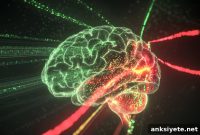 Brain Neurons Use Traffic Light Signals to Control Movement
