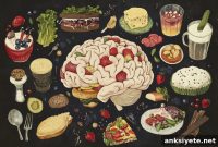 Small Brain Cell Cluster Triggers Overeating and Obesity