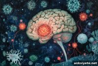 T Cells Detected in Non-Diseased Human Brains