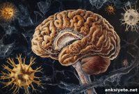 Blocking Brain Inflammation Molecule Could Halt Alzheimer’s