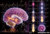 Seizures May Predict Early Frontotemporal Dementia