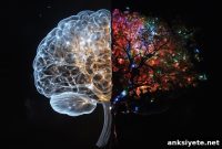 Aphantasia: Why Some People Can’t Visualize Mental Images