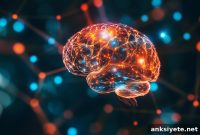 How the Brain’s Reward Maps Adapt to New Experiences