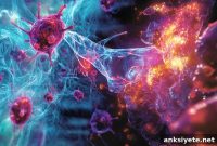 How Stress Response Genes Trigger Autophagy and Cell Cleanup