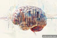 How Social Status and Genetics Shape Brain Aging