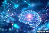 How the Brain Rapidly Rewires After Neuronal Loss