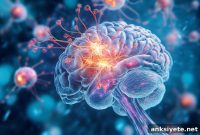 Mitochondrial Dysfunction Linked to Cerebellar Decline in MS