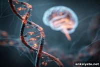 Scientists Identify Gene Linked to OCD