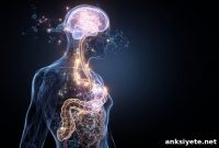 Gut Microbiome Could Affect Response to Bipolar Medications