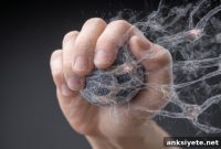 Grip Strength Predicts Brain Changes Linked to Early Psychosis